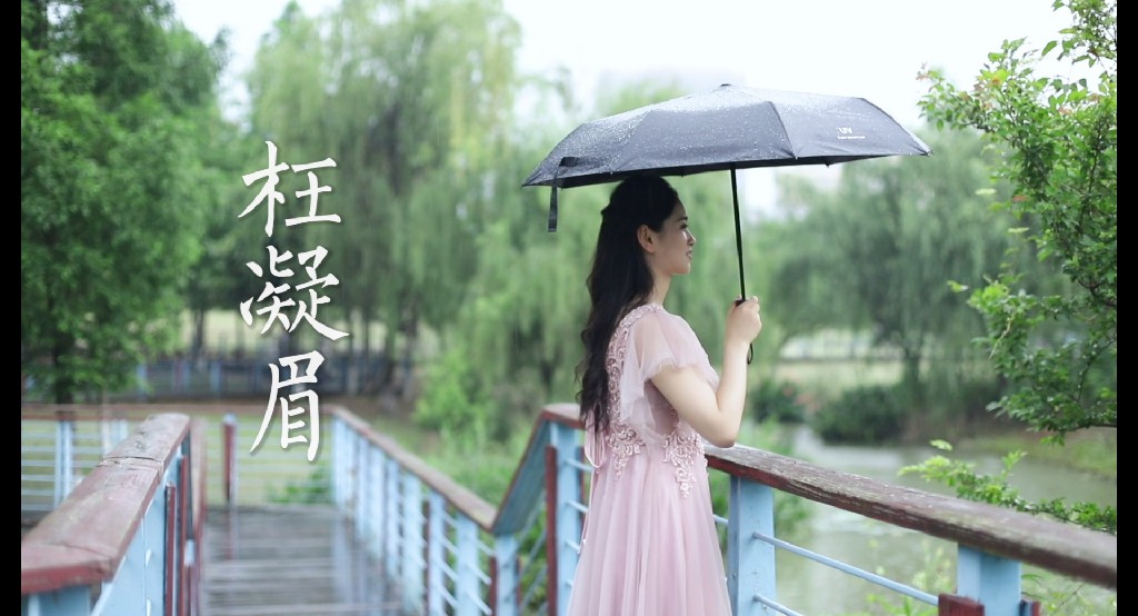 定制类 | 《枉凝眉》——《走在街头》摄制组